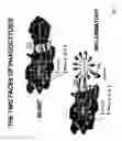 Fig. 10 - Constructs binding to phosphatidylserine and their use in disease treatment