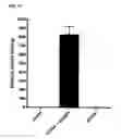 Fig. 15 - Constructs binding to phosphatidylserine and their use in disease treatment