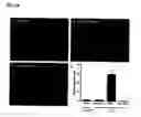 Fig. 29 - Constructs binding to phosphatidylserine and their use in disease treatment