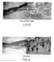 Fig. 11 - Agent for therapy or treatment of wound