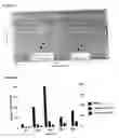 Fig. 02 - Method for improving conversion rate of oil soluble unsaturated lipids into water-soluble lipids