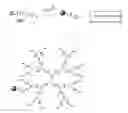 Fig. 04 - Water soluble multi-biotin-containing compounds