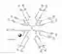 Fig. 05 - Water soluble multi-biotin-containing compounds