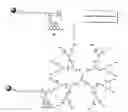 Fig. 06 - Water soluble multi-biotin-containing compounds