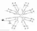Fig. 07 - Water soluble multi-biotin-containing compounds