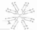 Fig. 08 - Water soluble multi-biotin-containing compounds