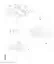 Fig. 13 - Water soluble multi-biotin-containing compounds