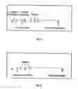 Fig. 09 - Active specific immunotherapy of cancer metastasis