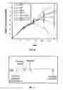 Fig. 13 - Active specific immunotherapy of cancer metastasis