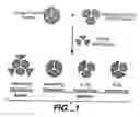 Fig. 02 - Dominant negative proteins and methods thereof