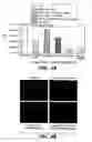 Fig. 09 - Dominant negative proteins and methods thereof