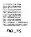 Fig. 20 - Dominant negative proteins and methods thereof