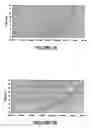 Fig. 04 - Use of bacilli bacteria in order to produce a composition for the prevention of vertebral compression syndrome in salmonids