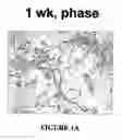 Fig. 02 - Isolated/cloned human NT2 cell lines expressing serotonin and GABA