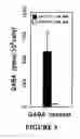 Fig. 14 - Isolated/cloned human NT2 cell lines expressing serotonin and GABA
