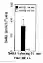 Fig. 15 - Isolated/cloned human NT2 cell lines expressing serotonin and GABA