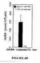 Fig. 16 - Isolated/cloned human NT2 cell lines expressing serotonin and GABA