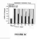 Fig. 19 - Isolated/cloned human NT2 cell lines expressing serotonin and GABA
