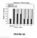 Fig. 20 - Isolated/cloned human NT2 cell lines expressing serotonin and GABA