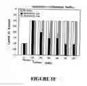 Fig. 22 - Isolated/cloned human NT2 cell lines expressing serotonin and GABA
