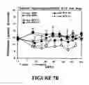 Fig. 28 - Isolated/cloned human NT2 cell lines expressing serotonin and GABA