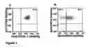 Fig. 03 - Hematopoietic stem cells treated by in vitro fucosylation and methods of use