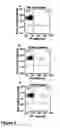 Fig. 05 - Hematopoietic stem cells treated by in vitro fucosylation and methods of use