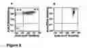 Fig. 06 - Hematopoietic stem cells treated by in vitro fucosylation and methods of use
