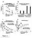 Fig. 11 - Hematopoietic stem cells treated by in vitro fucosylation and methods of use