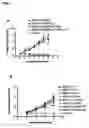 Fig. 02 - Method for generating antigen-presenting cells