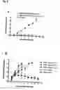 Fig. 07 - Method for generating antigen-presenting cells