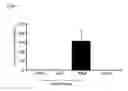 Fig. 07 - Cell-containing preparations