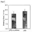 Fig. 02 - Osteogenesis promoter