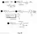 Fig. 05 - Targeting of glycoprotein therapeutics