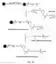 Fig. 06 - Targeting of glycoprotein therapeutics