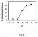 Fig. 07 - Targeting of glycoprotein therapeutics