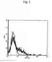 Fig. 02 - Method of inducing differentiation and proliferating regulatory t cell by anti-cd52 antibody and medicinal composition therefor