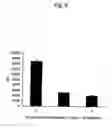 Fig. 07 - Method of inducing differentiation and proliferating regulatory t cell by anti-cd52 antibody and medicinal composition therefor