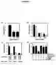 Fig. 05 - TRAIL and methods of modulating T cell activity and adaptive immune responses using TRAIL