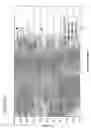 Fig. 13 - Methods for generating stably linked complexes composed of homodimers, homotetramers or dimers of dimers and uses