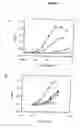 Fig. 06 - Tumor specific monoclonal antibodies