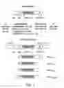 Fig. 02 - Methods for modulating angiogenesis