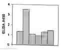 Fig. 01 - Induction of mucosal immunity by vaccination via the skin route
