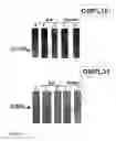 Fig. 03 - Surface proteins of 