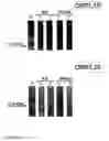 Fig. 04 - Surface proteins of 