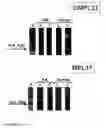 Fig. 08 - Surface proteins of 