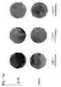 Fig. 02 - NELL-1 enhanced bone mineralization