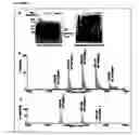 Fig. 02 - Compositions, methods and uses for a novel family of peptides