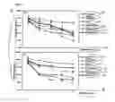 Fig. 02 - Mucoadhesive composition comprising polyacrylate and chemoattractant