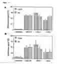 Fig. 05 - Mucoadhesive composition comprising polyacrylate and chemoattractant